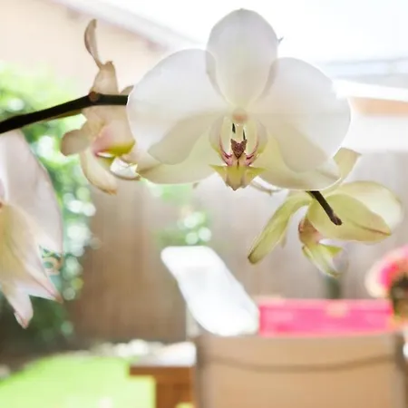 Apartment Le Riviera ~ Jardin ~ Parking ~ Climatisation *